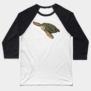 sea turtle Baseball T-Shirt